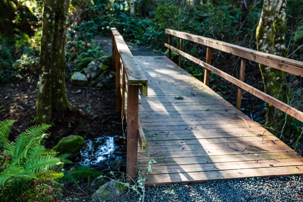 Trails and Parks at McCormick in Kitsap County